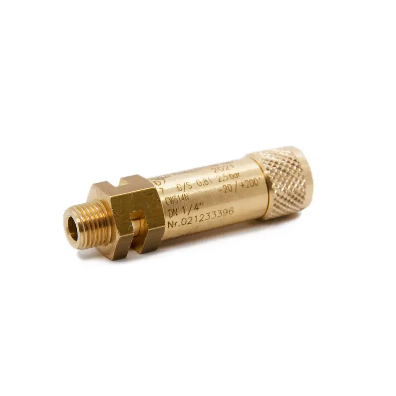 1/4-Inch Boiler Pressure Relief Valve 1
