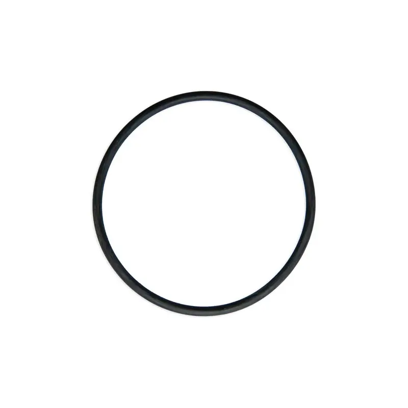 10-Inch Filter Housing Seal Ring 1