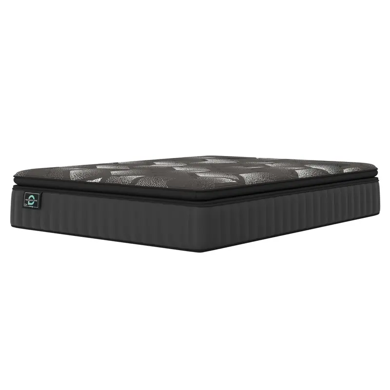 Anora 4.0 Plush Pillow Top Queen Mattress 1