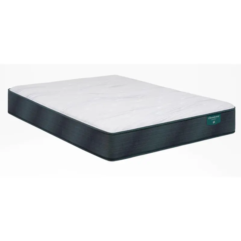 Beautyrest Alive 2.0 Medium-Firm Twin Mattress 1