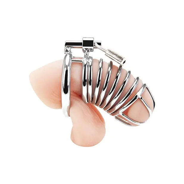 Deluxe Adjustable Metal Chastity Device By Blue Line (Silver) 1