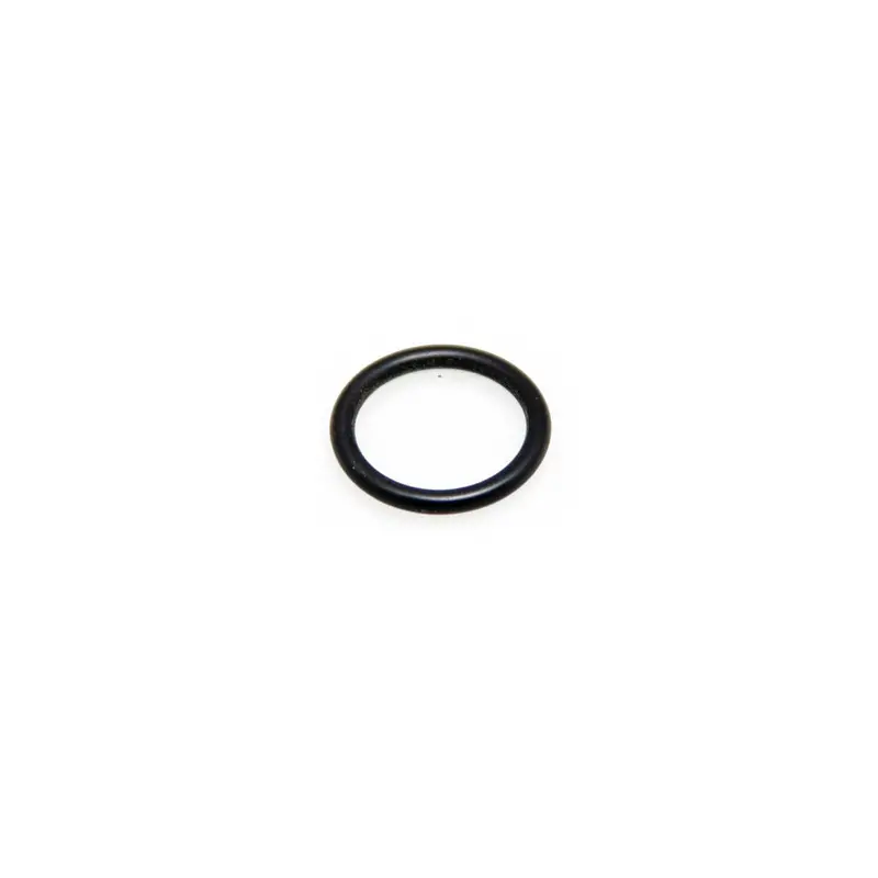 Expansion Valve Sealing O-Ring 1