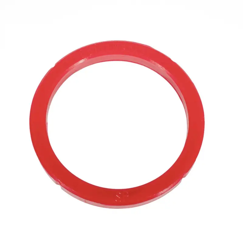 La Spaziale S1 Group Head Gasket 1