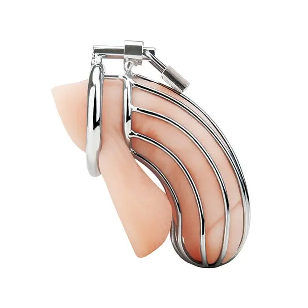 Prisoner-Style Metal Chastity Cage By Blue Line (Silver) 1