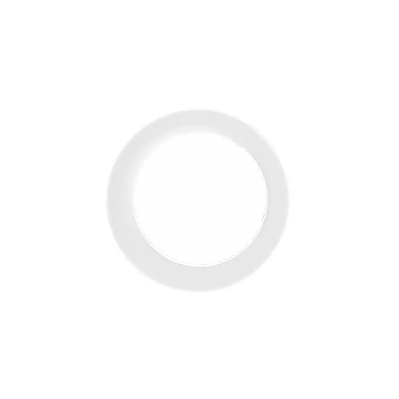 Steam Wand Lower Ball Joint Sealing Ring 1