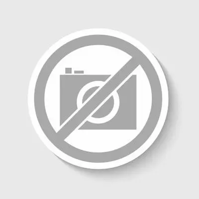Whirlpool High-Performance Vent Filter W10905734 1